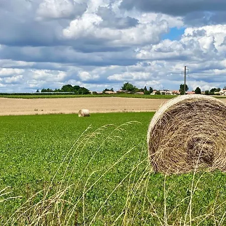 Poetique Entre Vignes, Loire Et Moulin * Divatte-sur-Loire