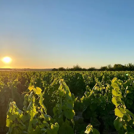 Poetique Entre Vignes, Loire Et Moulin בית נופש